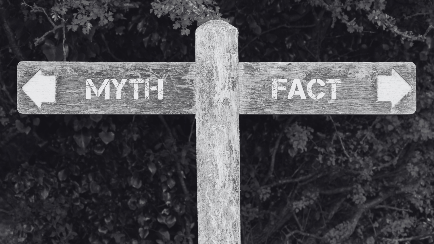 10 SEO Myths Debunked: Common SEO Myths You Need to Stop Believing Now